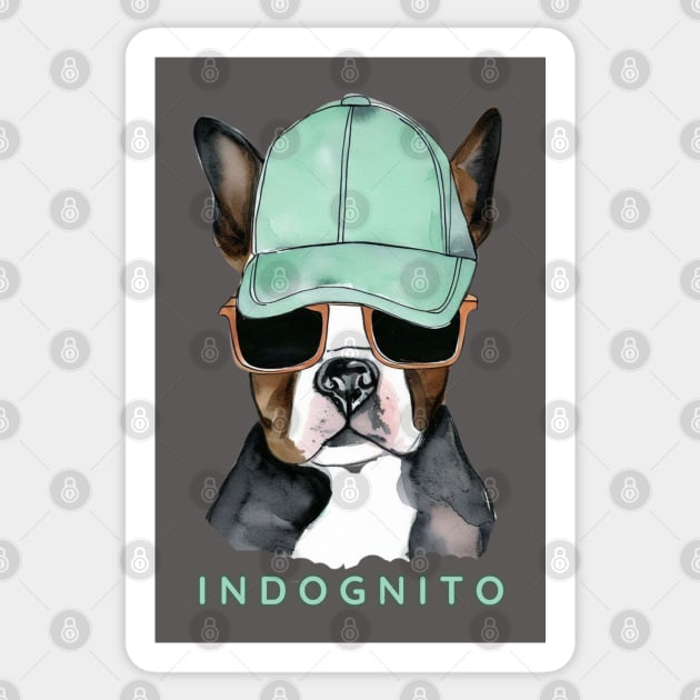 Boston Terrier Indognito Sticker by ZogDog Pro